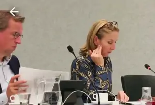 Eerst bewijs, dan geld: stop subsidie voor houtstook en BECCS zolang de herkomst onbekend is