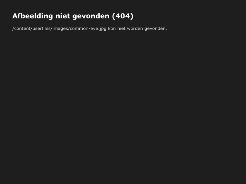 Het rapport ‘Stip op de horizon voor de geboortezorg’