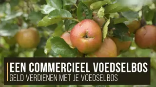 Hoe maakt je een voedselbos commercieel aantrekkelijk?