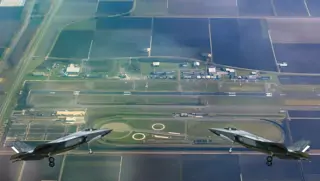 Biomassasubsidies glippen door de mazen van de wet